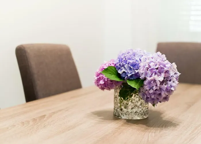 Casa Ana * Ζαντάρ